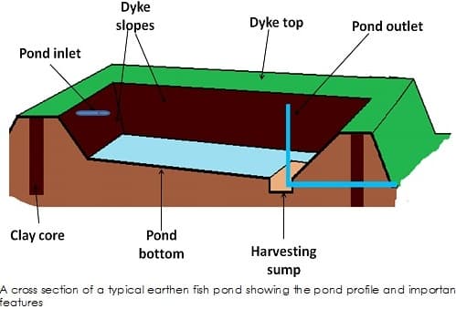 Fish Pond Design (Pic Source Wiring Library).
