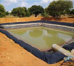 Fish Pond with Liners.