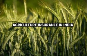 Agri Insurance Schemes In India - A Full Guide | Agri Farming