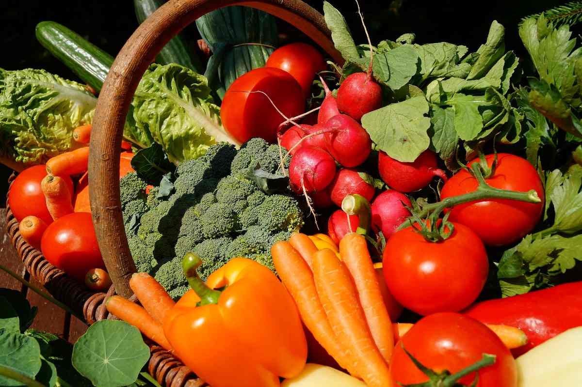 fresh cut vegetables business plan