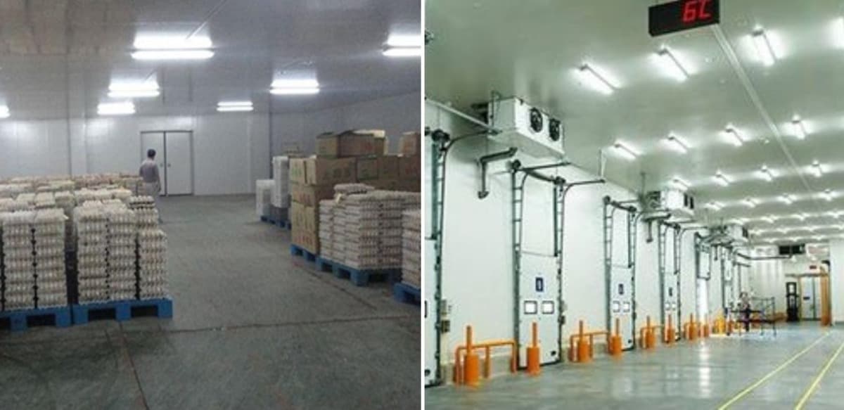 Scope for cold storage in India.