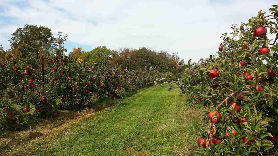 instal the last version for apple Farming 2020