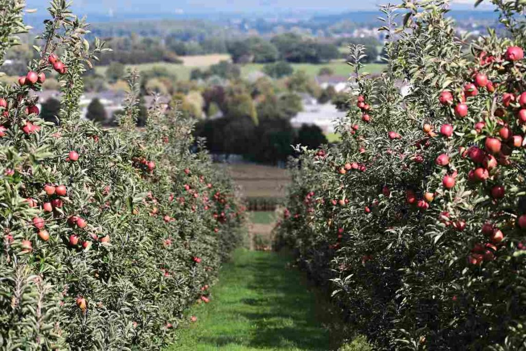 download the new version for apple Farming 2020
