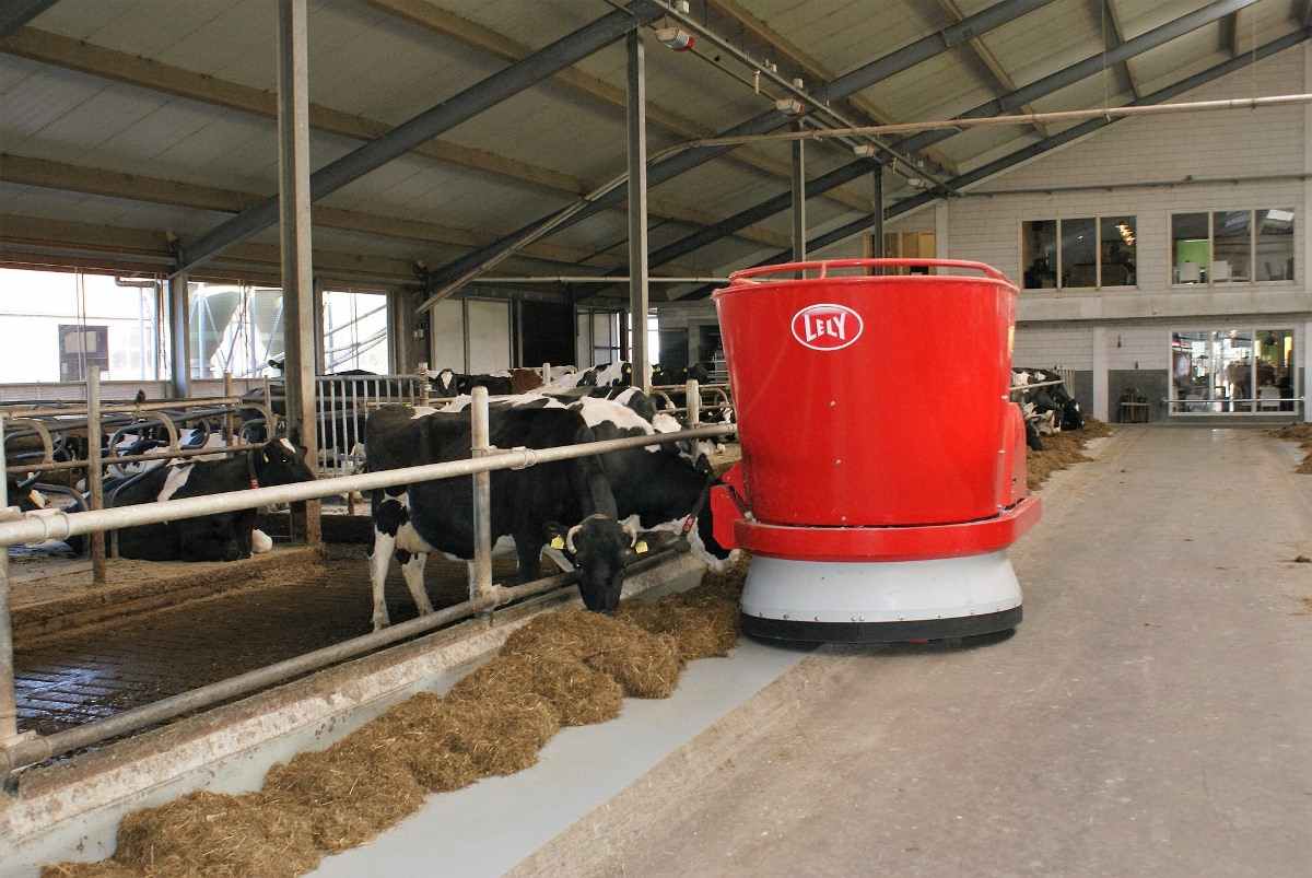 Guide to Dairy Farming In Kenya