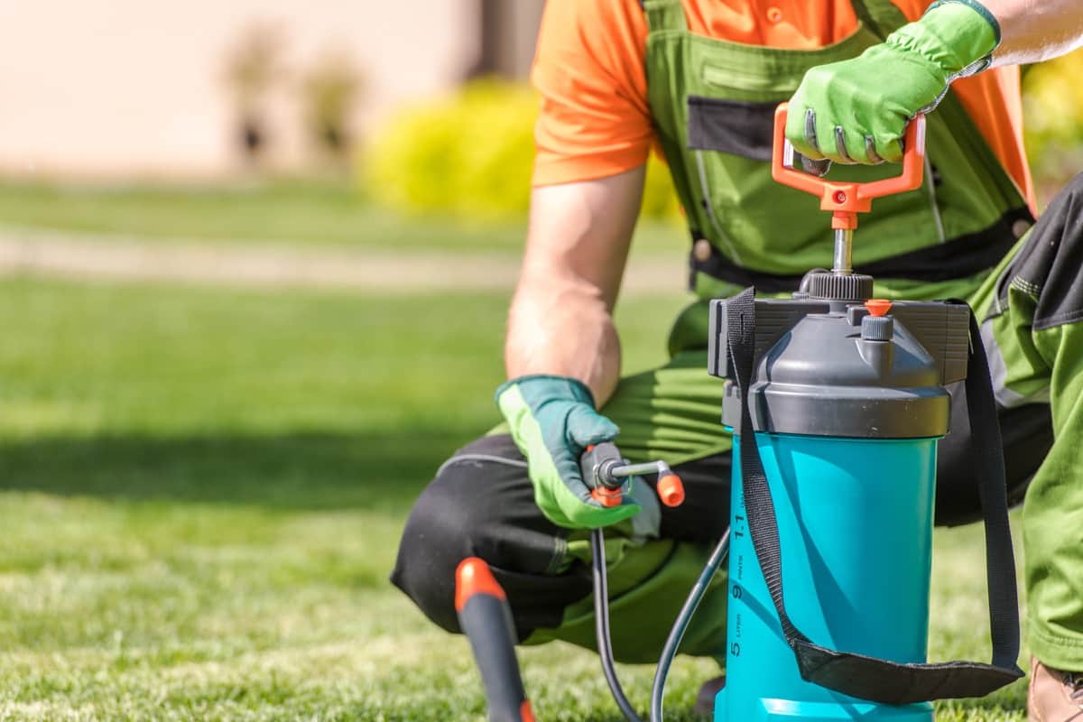 10 Best Garden Pump Pressure Sprayers in India: Guide to Buy Them at ...