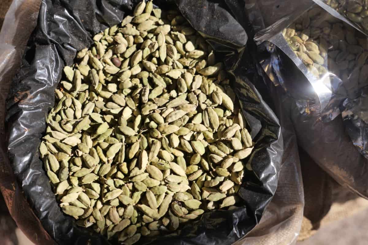 Cardamom in A Large Box 